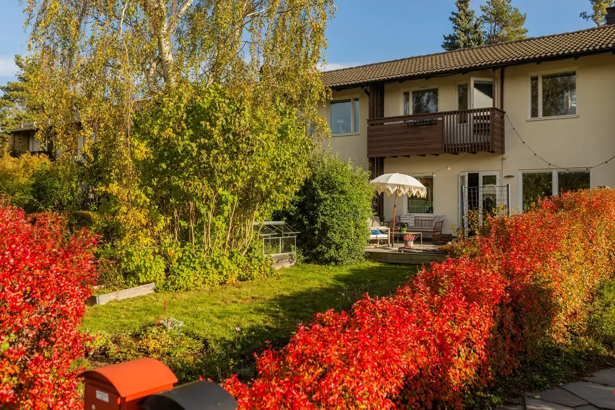 A Charming 1960s Family Home in Stockholm 34 garden terraced house