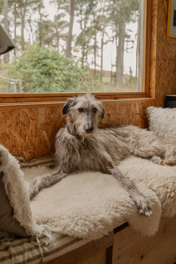 A Restored Welsh Longhouse Where Centuries of Craft Meet Contemporary Calm 19 c