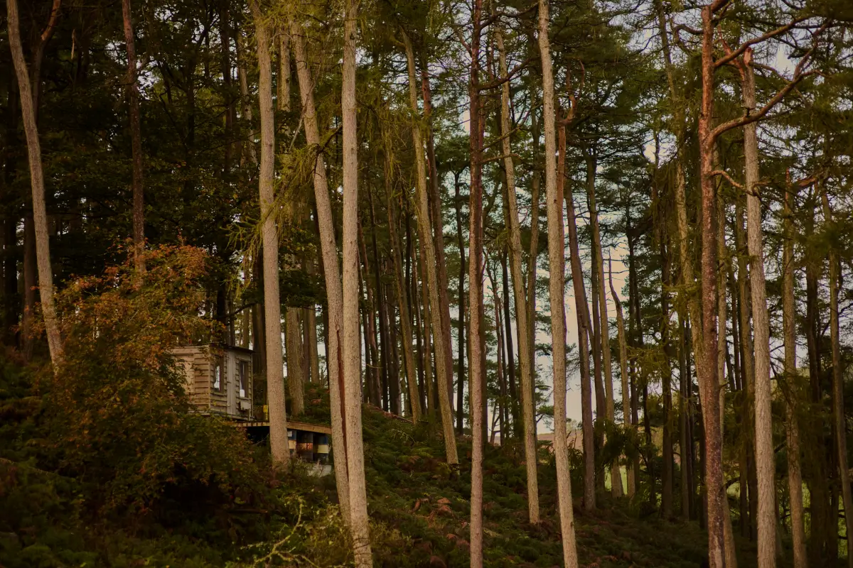 A Restored Welsh Longhouse Where Centuries of Craft Meet Contemporary Calm 29 historic farmhouse wales3 A Restored Welsh Longhouse Where Centuries of Craft Meet Contemporary Calm