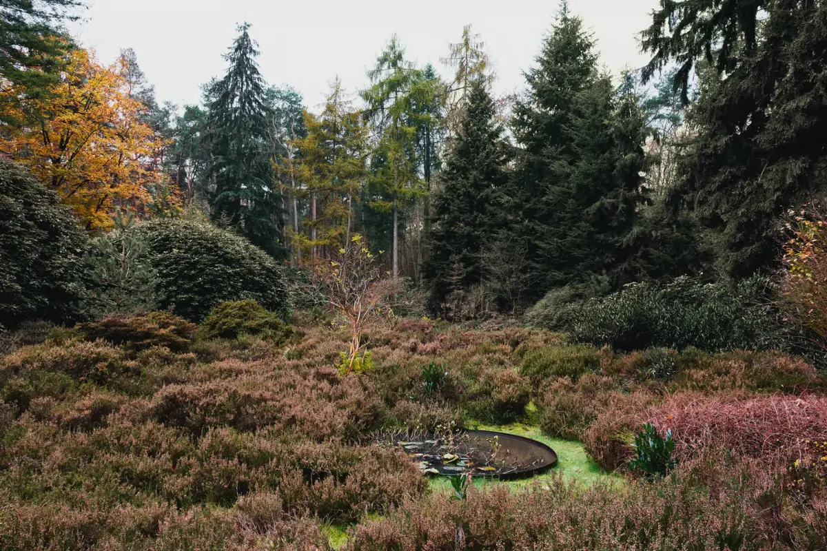 A Renovated Midcentury Forest Bungalow in The Netherlands 38 forest-bungalow-home-netherlands-nordroom