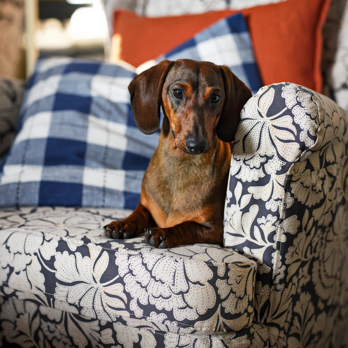 New IKEA Collection January 2026: A New Year, A New Home 7 IKEA-STRANDMON-new-chair-cover-new-ikea-collection-january-2026-nordroom