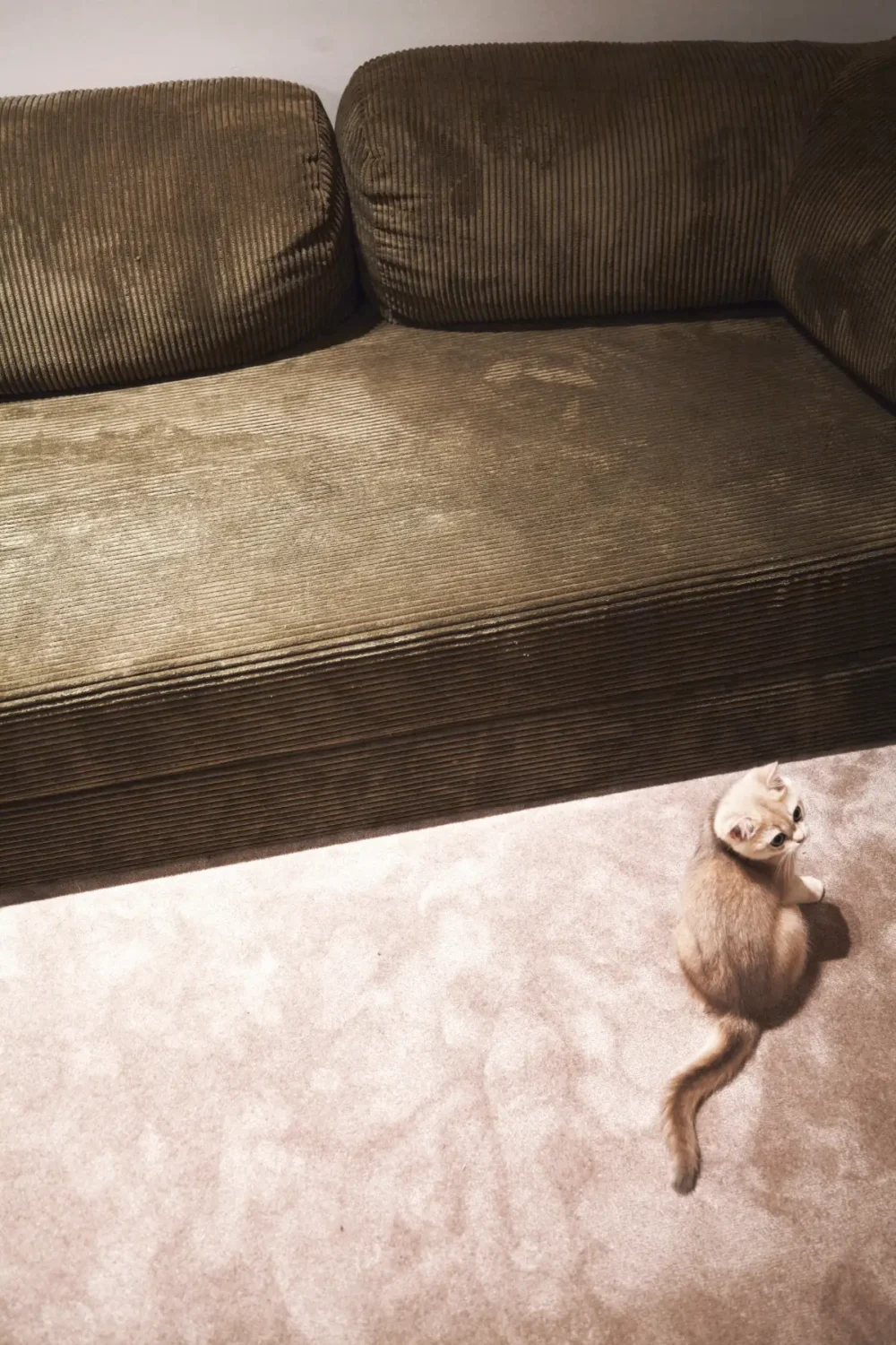 An English-Inspired Apartment in the Heart of Barcelona by Eva González Estudio 7 english-inspired-apartment-barcelona-eva-gonzalez-estudio-nordroom