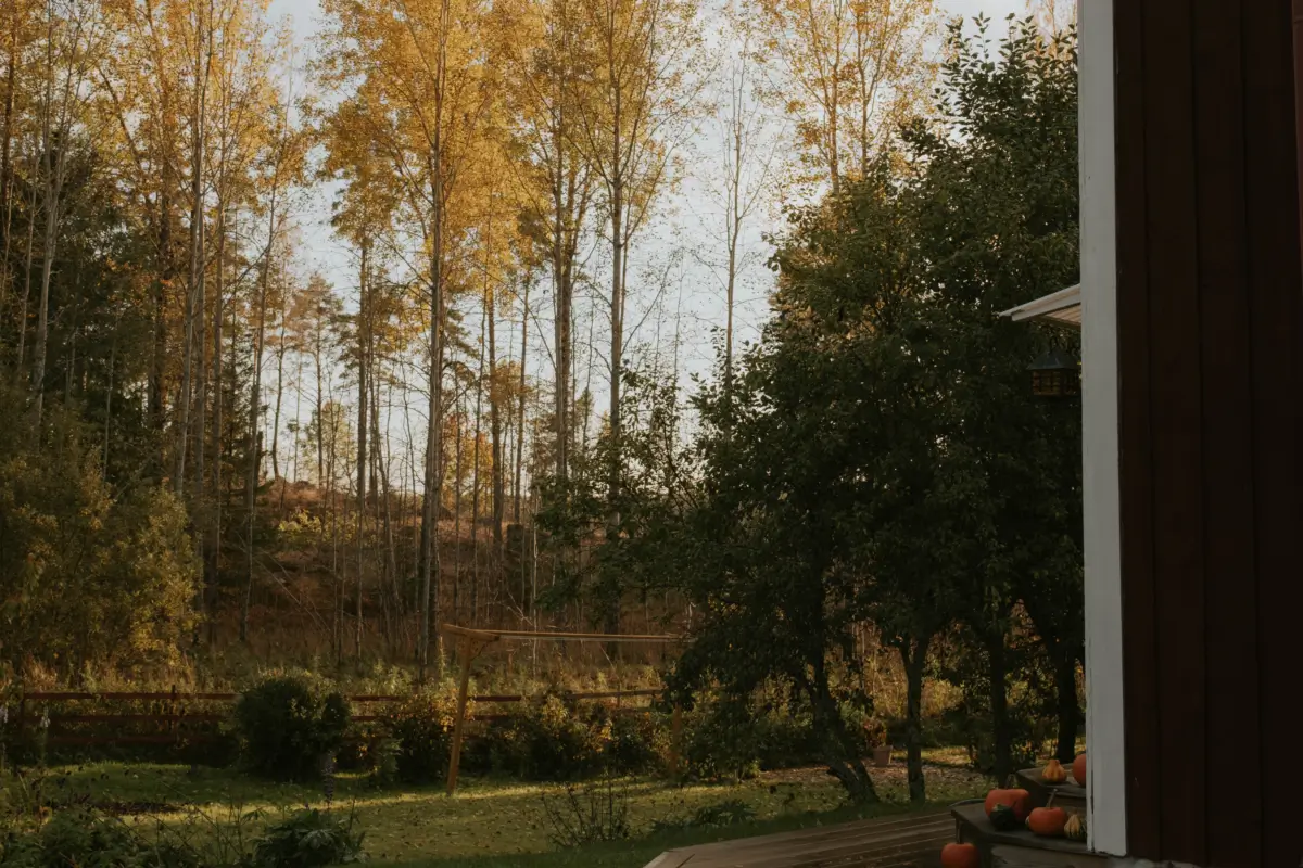 A Cozy 19th-Century Swedish Cottage Surrounded by Forest 33 charming-19th-century-cottage-sweden
