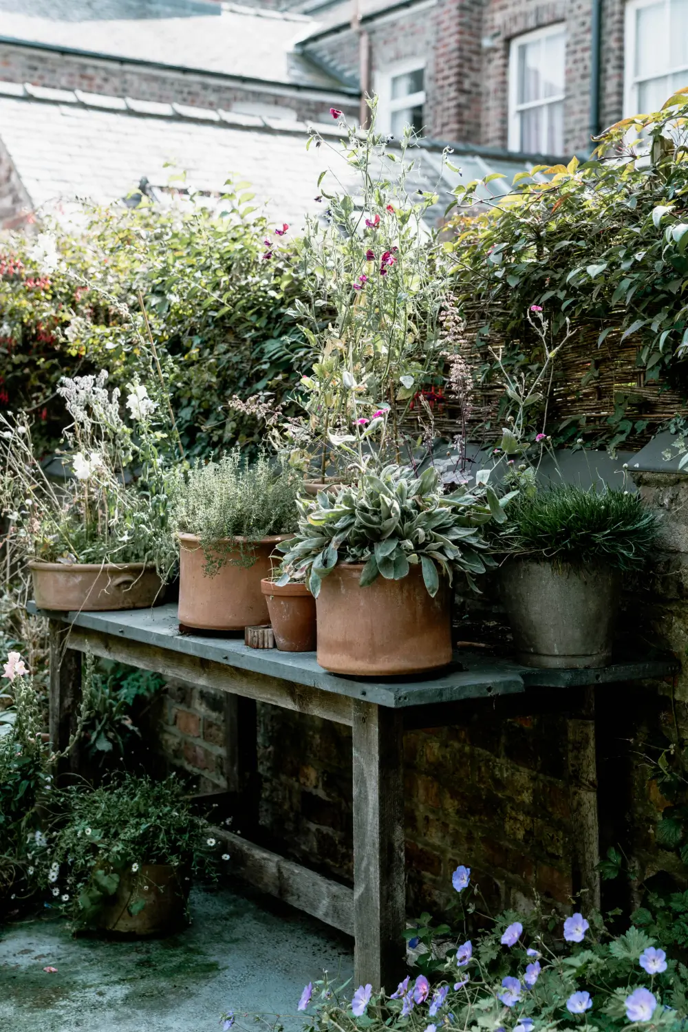 A Restored Victorian Worker's Cottage with a Charming Garden in York 8 restored-Victorian-railway-workers-cottage