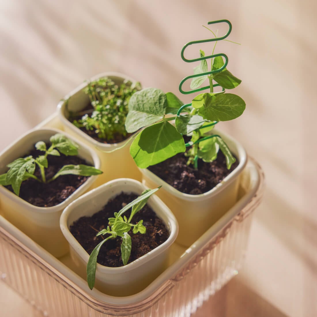 IKEA Spring & Summer Outdoor Collection 2026 3 IKEA DOFTRIPS collection nordroom