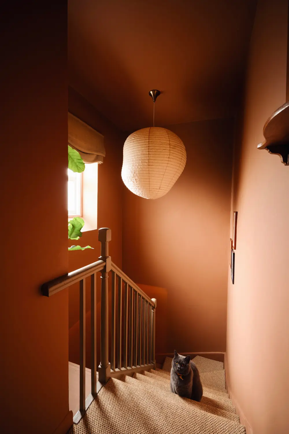 A Small Home in a 19th-Century London Almshouse Pairs Old with New 15 small-renovated-home-19th-century-almshouse-london