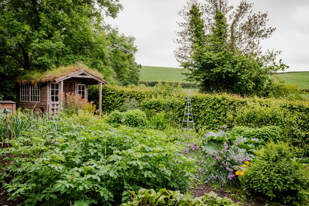 A Restored Welsh Farmhouse with a Beautiful Garden 31 renovated-historic-farmhouse-wales