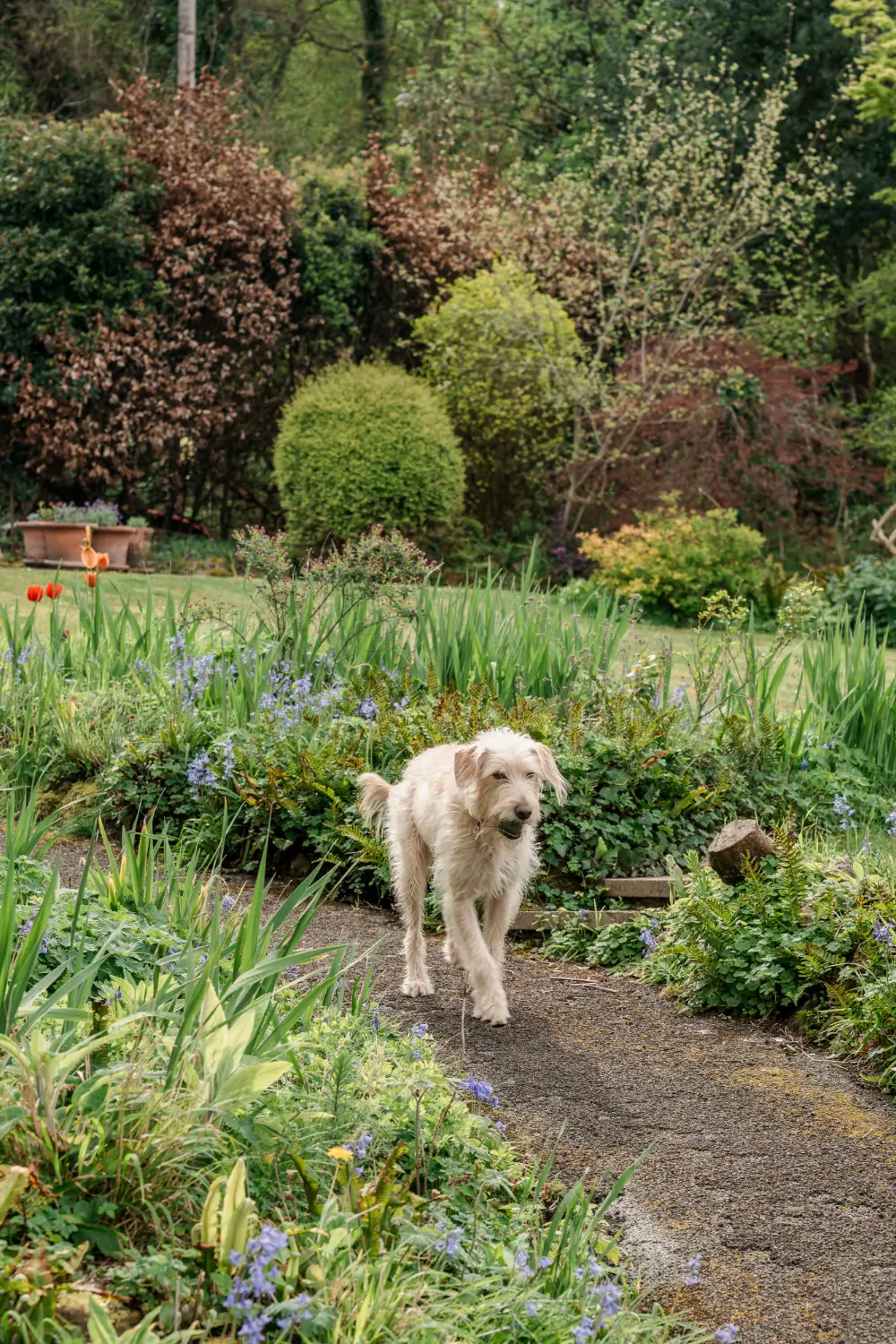 A Spacious 1830s Family Home With Sea Views in Somerset 34 georgian-seaside-home-portishead-somerset