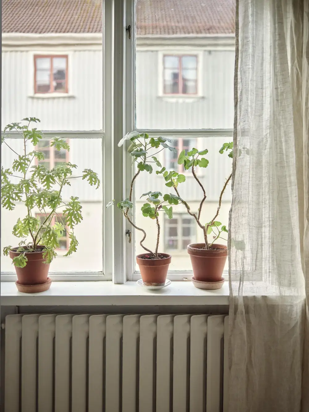 A Charming 1920s Apartment in Gothenburg 24 historic-character-light-scandinavian-apartment-nordroom