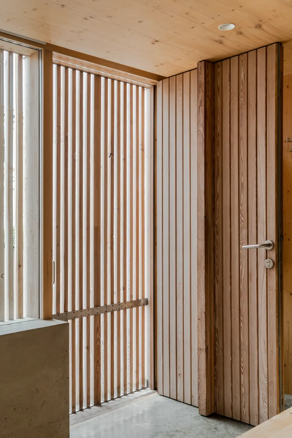 Spruce, Polished Concrete, and Terrazzo in an Architect-Designed London Home 10 modern-london-house-spruce-interiors-lush-garden