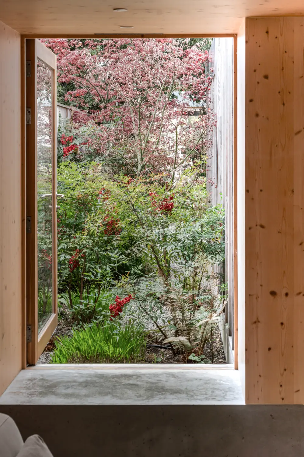 Spruce, Polished Concrete, and Terrazzo in an Architect-Designed London Home 7 modern-london-house-spruce-interiors-lush-garden