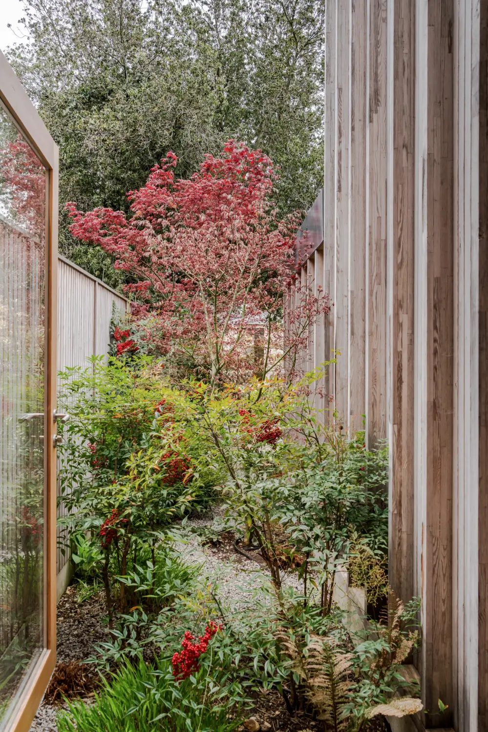 Spruce, Polished Concrete, and Terrazzo in an Architect-Designed London Home 8 modern-london-house-spruce-interiors-lush-garden