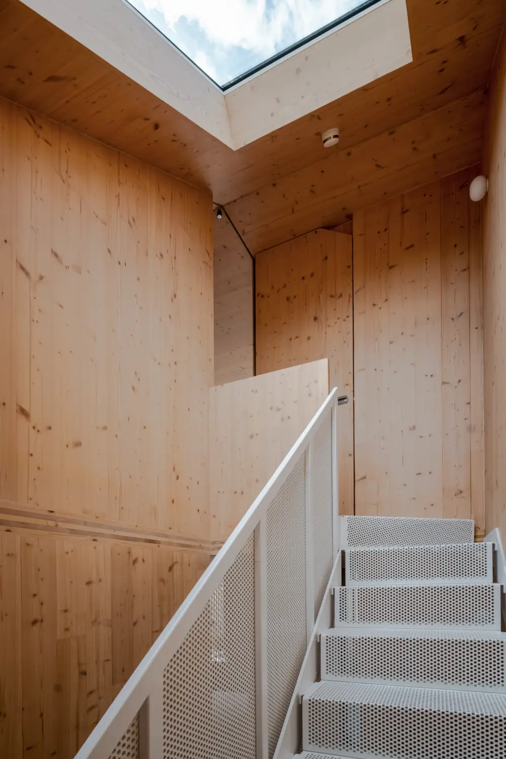 Spruce, Polished Concrete, and Terrazzo in an Architect-Designed London Home 17 modern-london-house-spruce-interiors-lush-garden