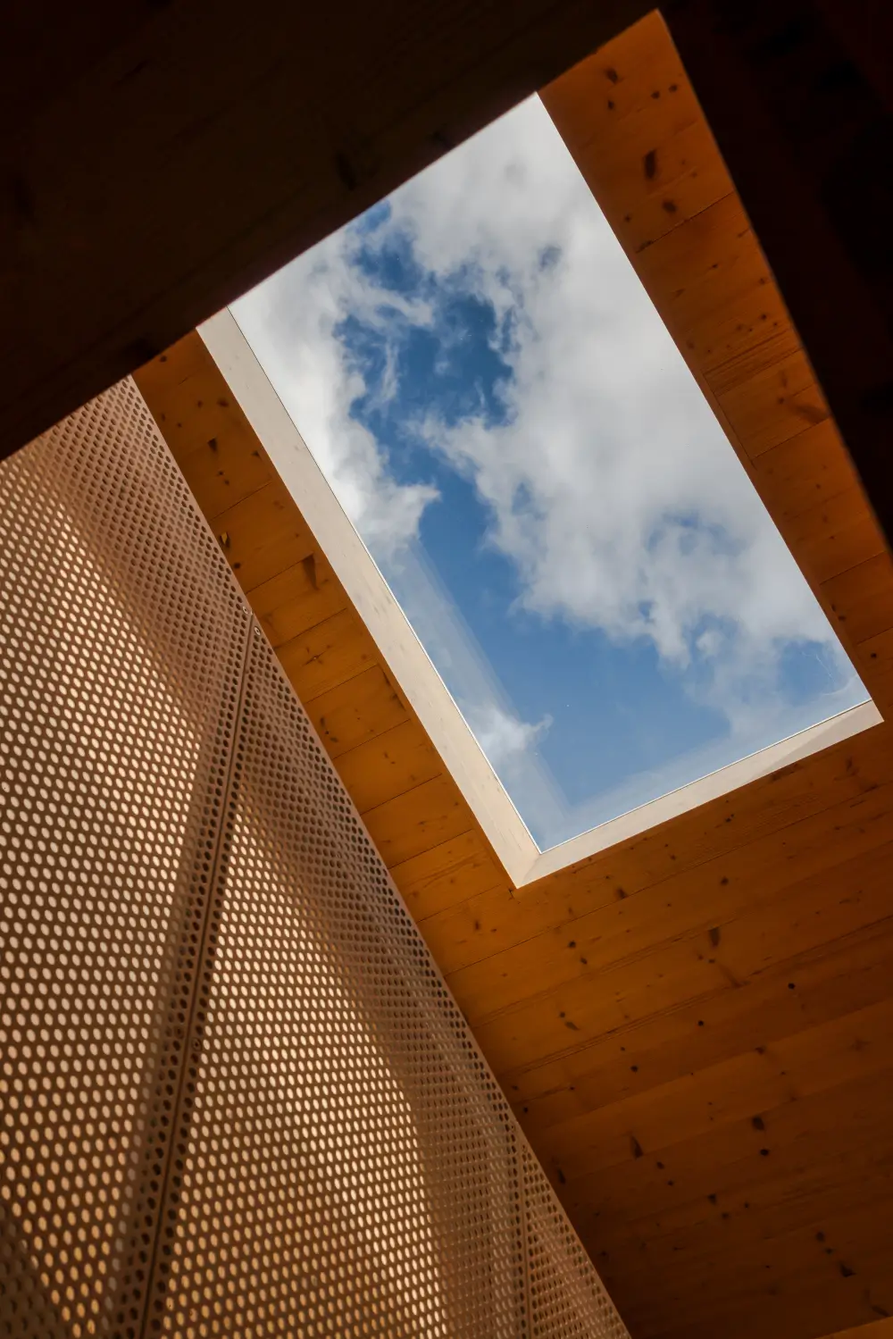 Spruce, Polished Concrete, and Terrazzo in an Architect-Designed London Home 18 modern-london-house-spruce-interiors-lush-garden