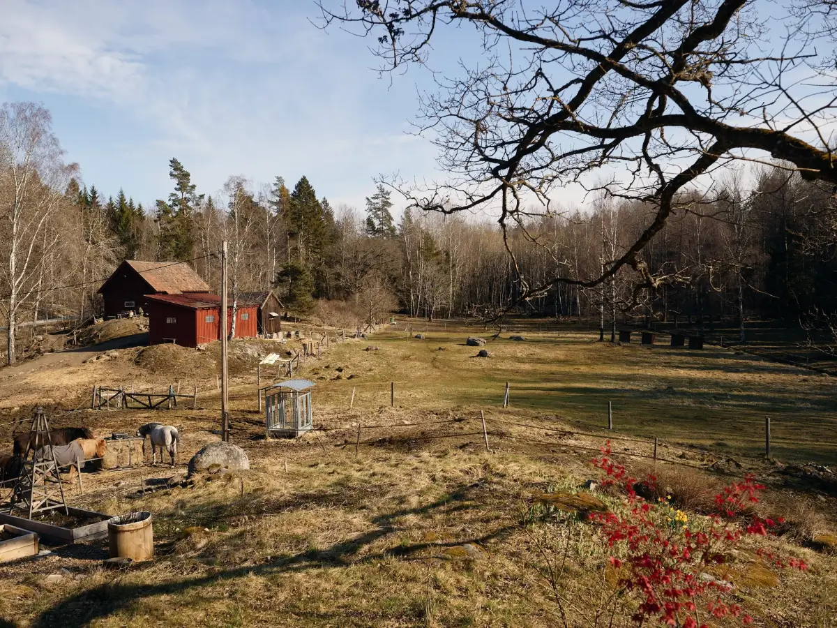 A Restored 1920s Swedish Home Set in an Idyllic Location South of Stockholm 50 renovated-1920s-swedish-house-surrounded-by-nature