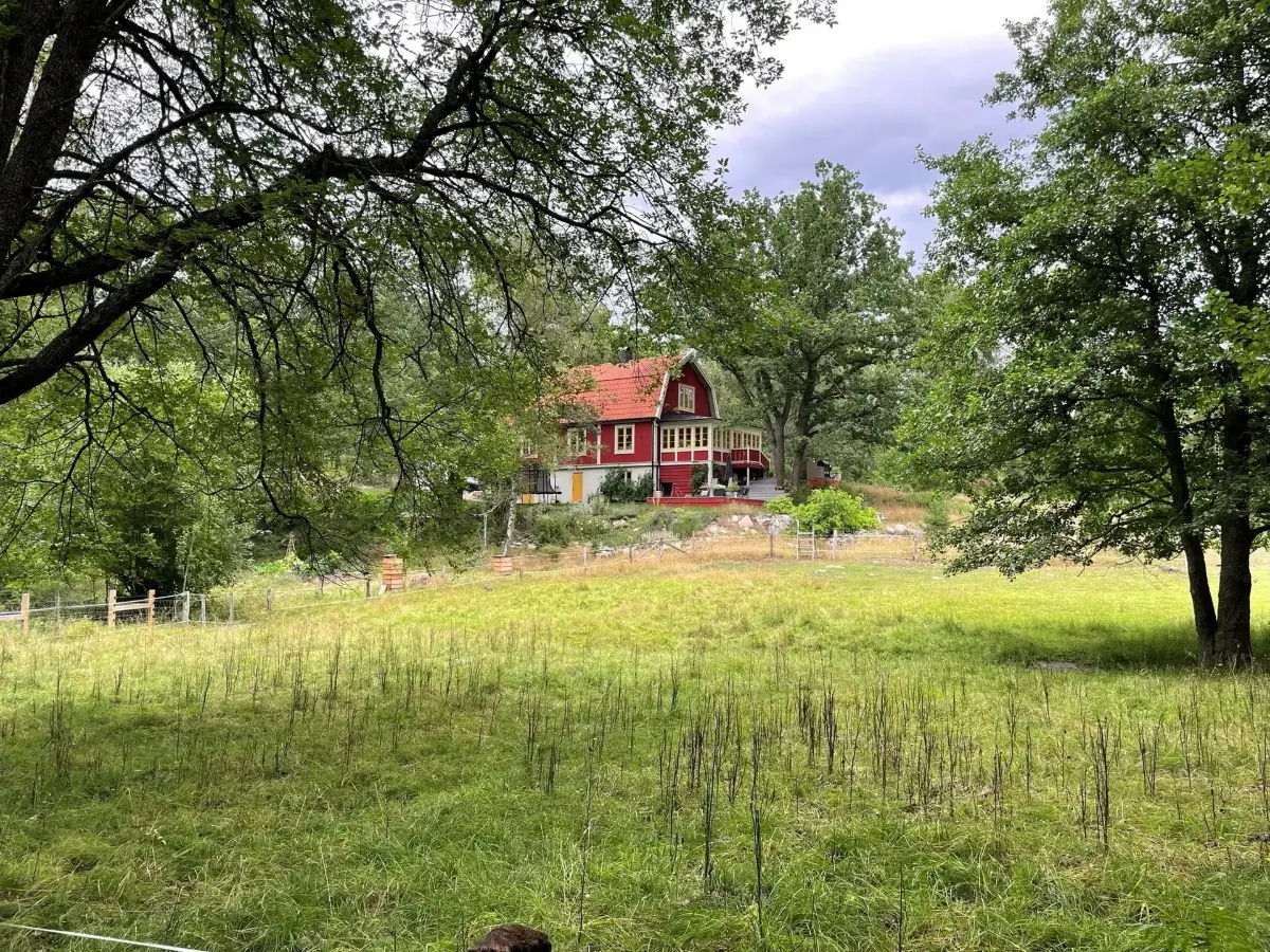 A Restored 1920s Swedish Home Set in an Idyllic Location South of Stockholm 64 renovated-1920s-swedish-house-surrounded-by-nature
