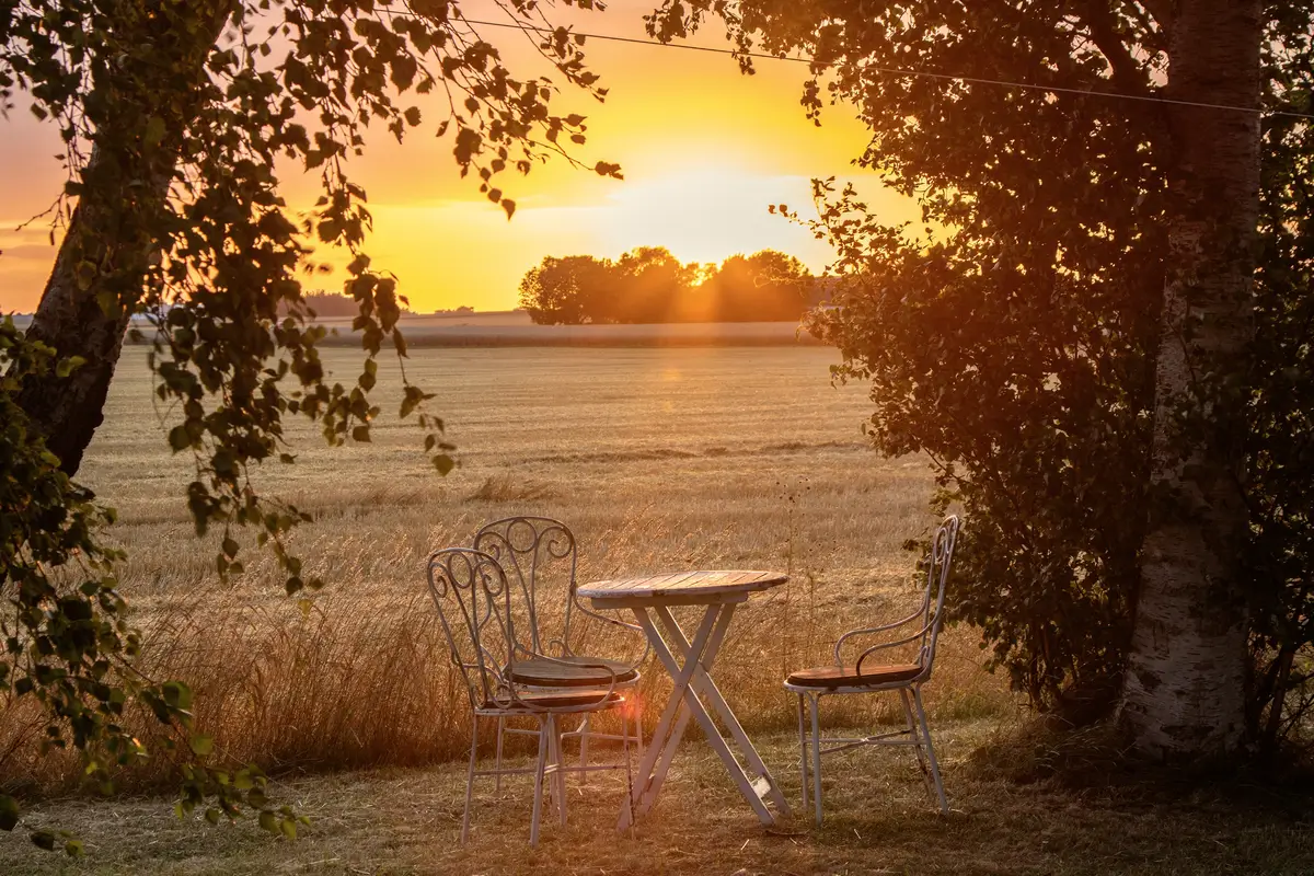 Serene Interiors in a Renovated 1930s Manor in South Sweden 31 serene-interiors-renovated-1930s-farm-skane-nordroom