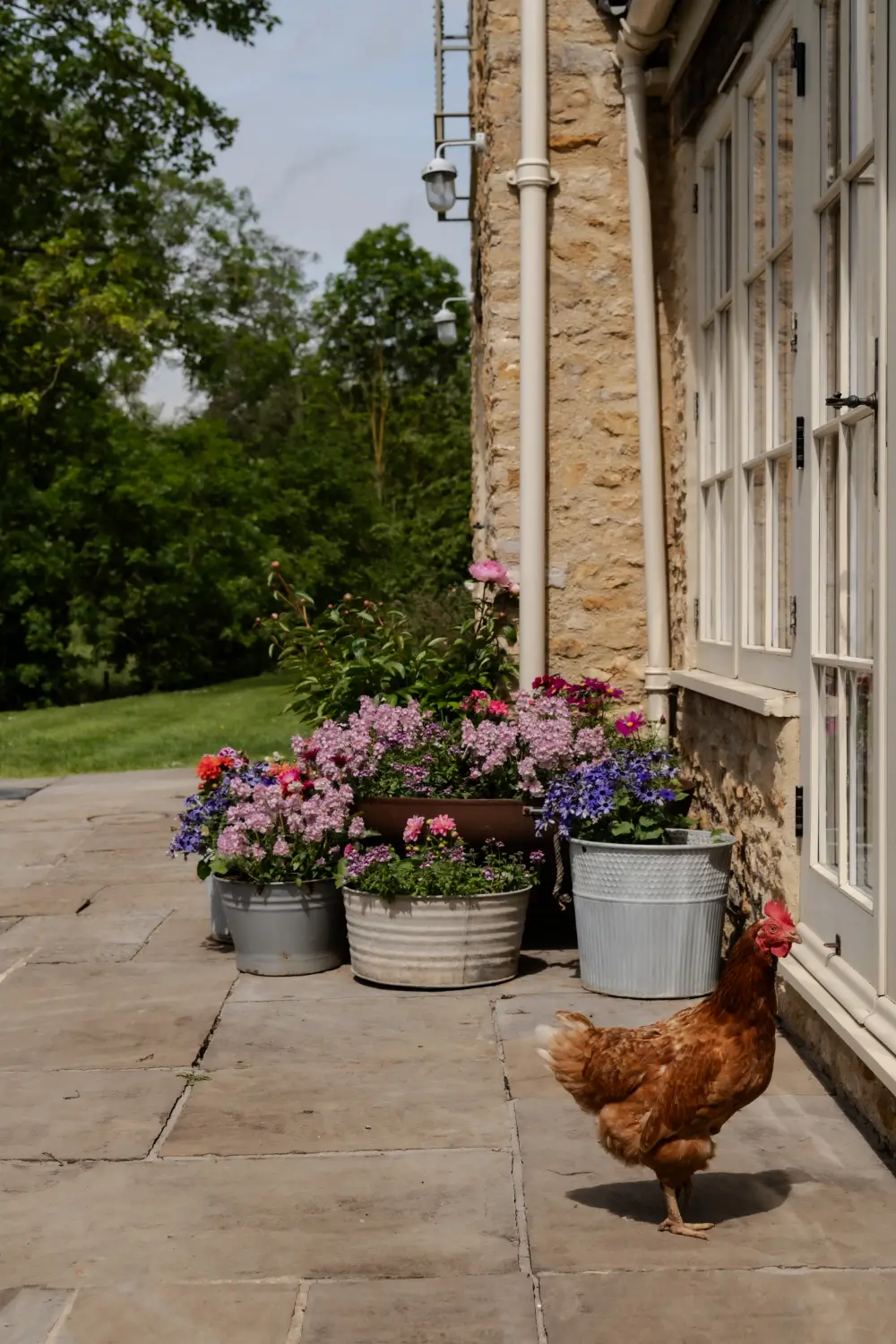 A Weaver's Cottage Transformed into a Cozy Home with Colorful Patterns and Rustic Details 36 soft-colors-19th-century-country-house-england