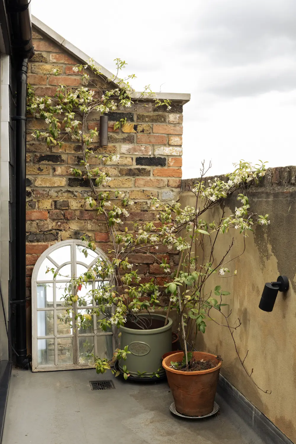 A Double-Height Kitchen Extension & House of Hackney Wallpaper in a London Townhouse 49 spectacular-double-height-kitchen-extension-floral-wallpapers-victorian-townhouse-london-nordroom