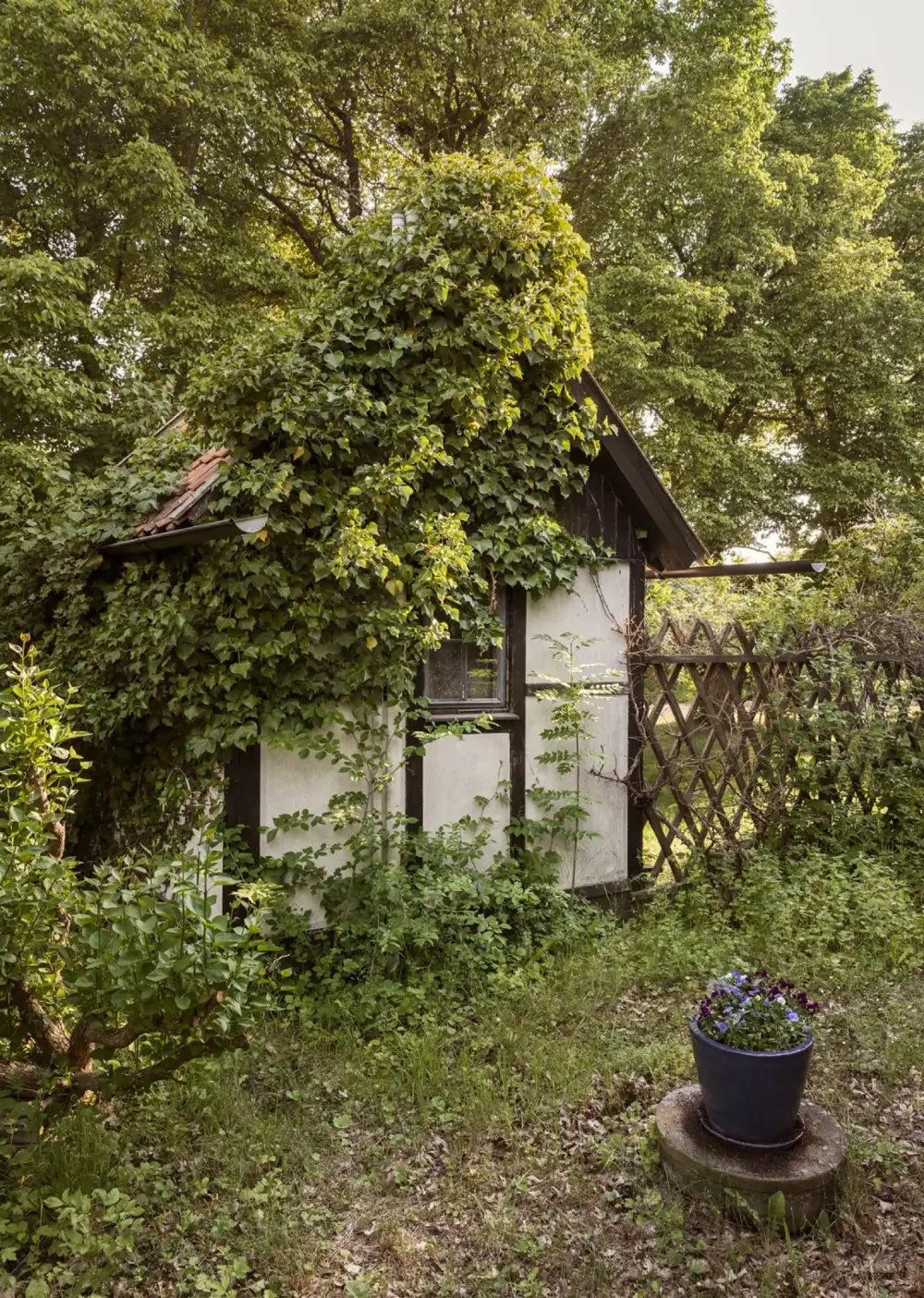 A Renovated Early 20th-Century Farmhouse on Gotland 25 charming-summer-house-swedish-island-gotland