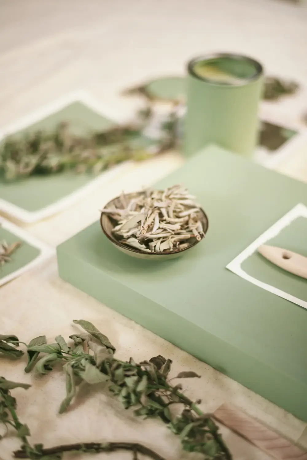 Dulux 2027 Color of the Year: A Soft, Silvery and Quietly Uplifting Green 7 flexa-dulux-color-of-the-year-2027-soulful-sage-nordroom